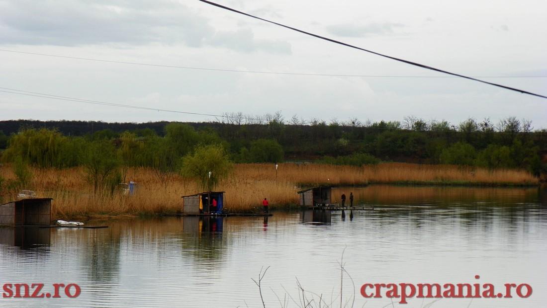 GREENFISH 2 - 1000334.jpg